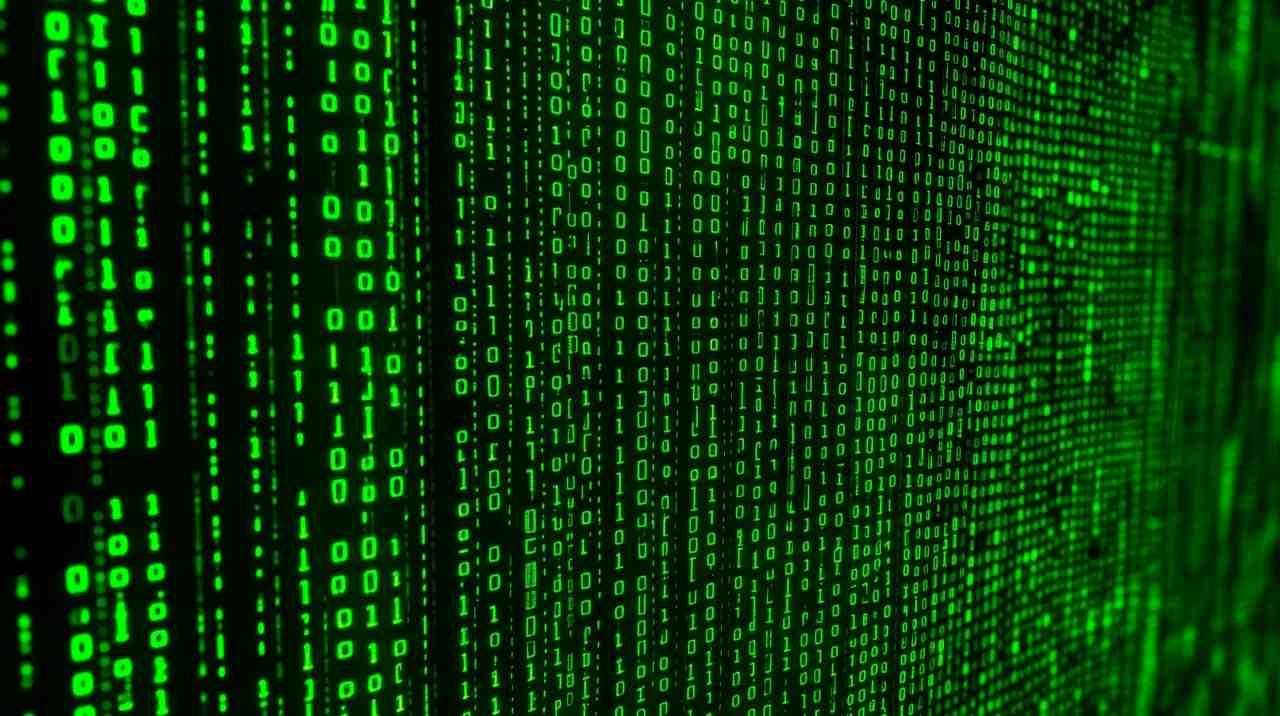 求人サイトの検索結果でC言語とSwiftの求人数を比較している画面
